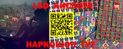 стафф Славгород