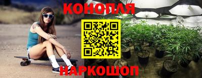 стафф Славгород