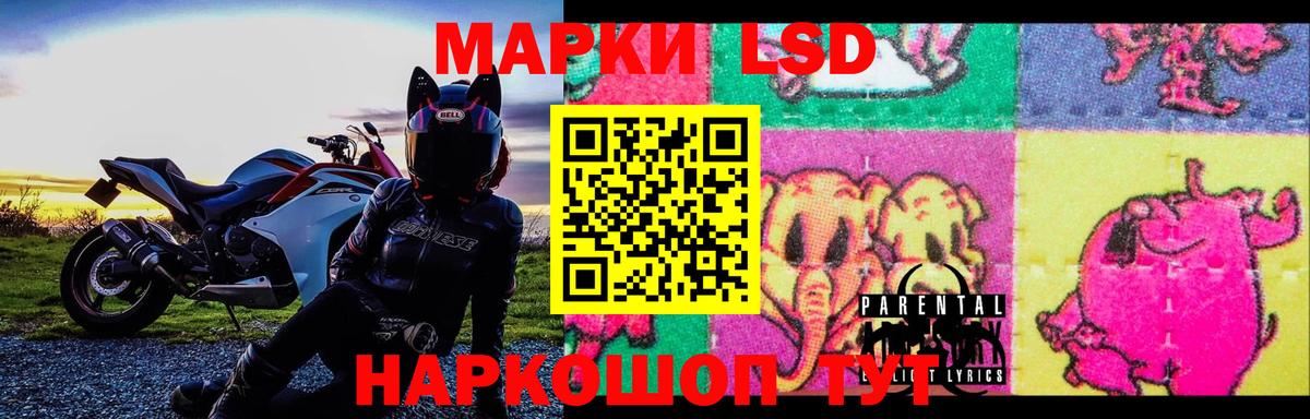 LSD-25 экстази кислота Новый Уренгой
