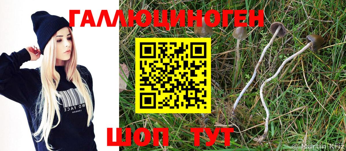 Новый Уренгой  ГАШ  Гашиш  ТГК  NBOMe  Вход с VPN  COCAIN  A PVP СК кристаллы  Меф МЯУ МЯУ   Марихуана 