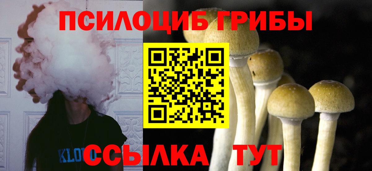 Новый Уренгой  Псилоцибиновые грибы MAGIC MUSHROOMS  Галлюциногенные грибы Psilocybine cubensis  Вход с VPN 